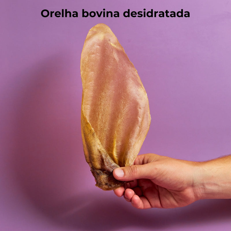 Mordedor Orelha Bovina Natural Desidratada Para Cães - 3 unid