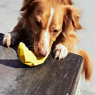 Brinquedo Banana Petisqueira Para Cães - Viu Pet