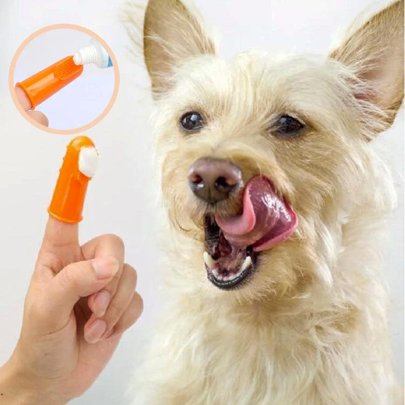 2 Dedeira Escova Dental Para Cães e Gatos - Viu Pet